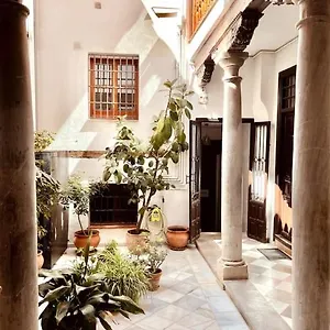 Charming Spacious Albayzin Granada
